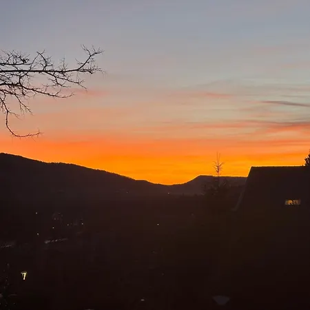 Le Des 5 Avec Piscine Vue Sur Les Montagnes Et En Lisiere De Foret 木屋 Lutzelhouse